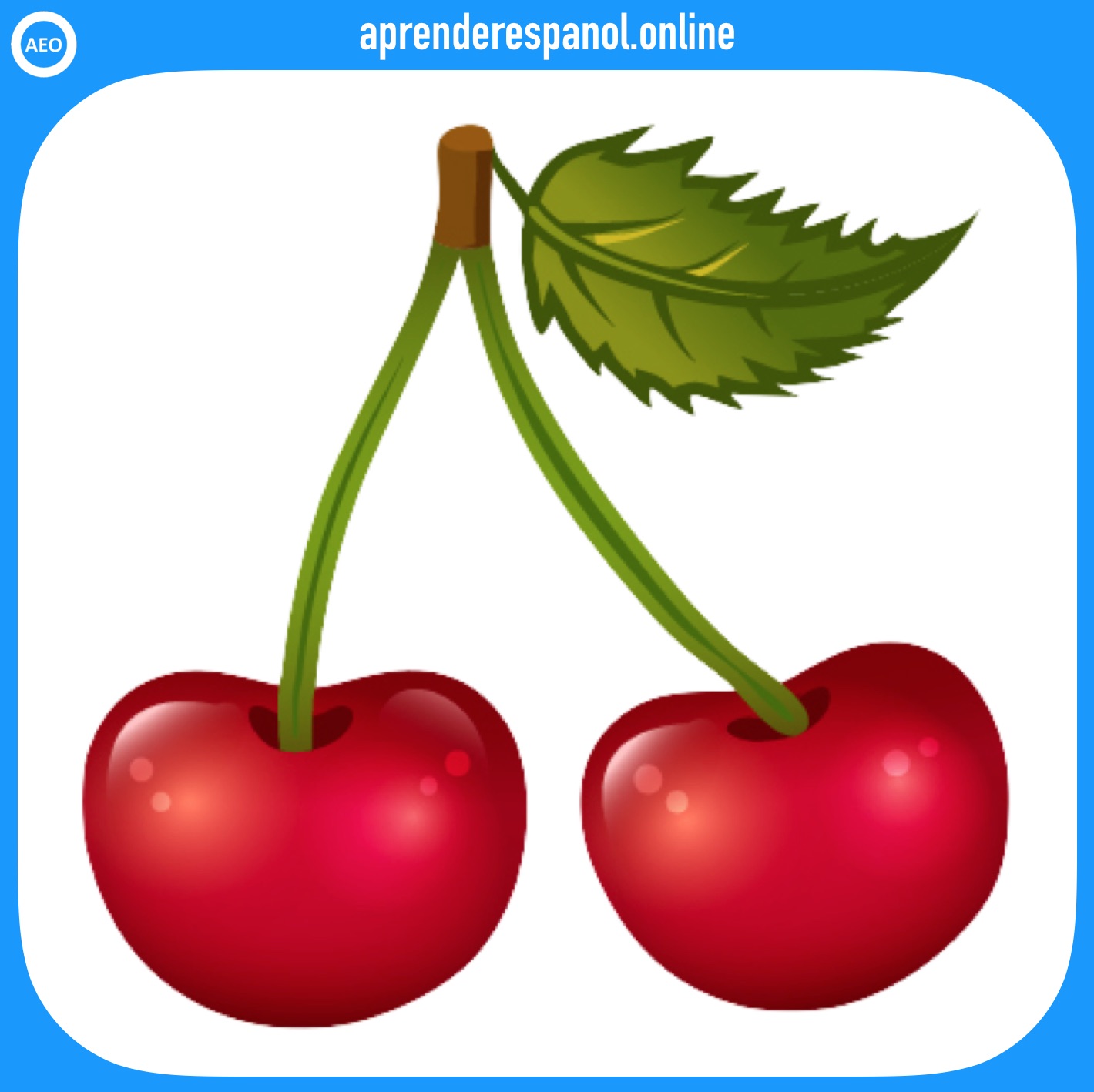 cereza - frutas en español - vocabulario de las frutas en español