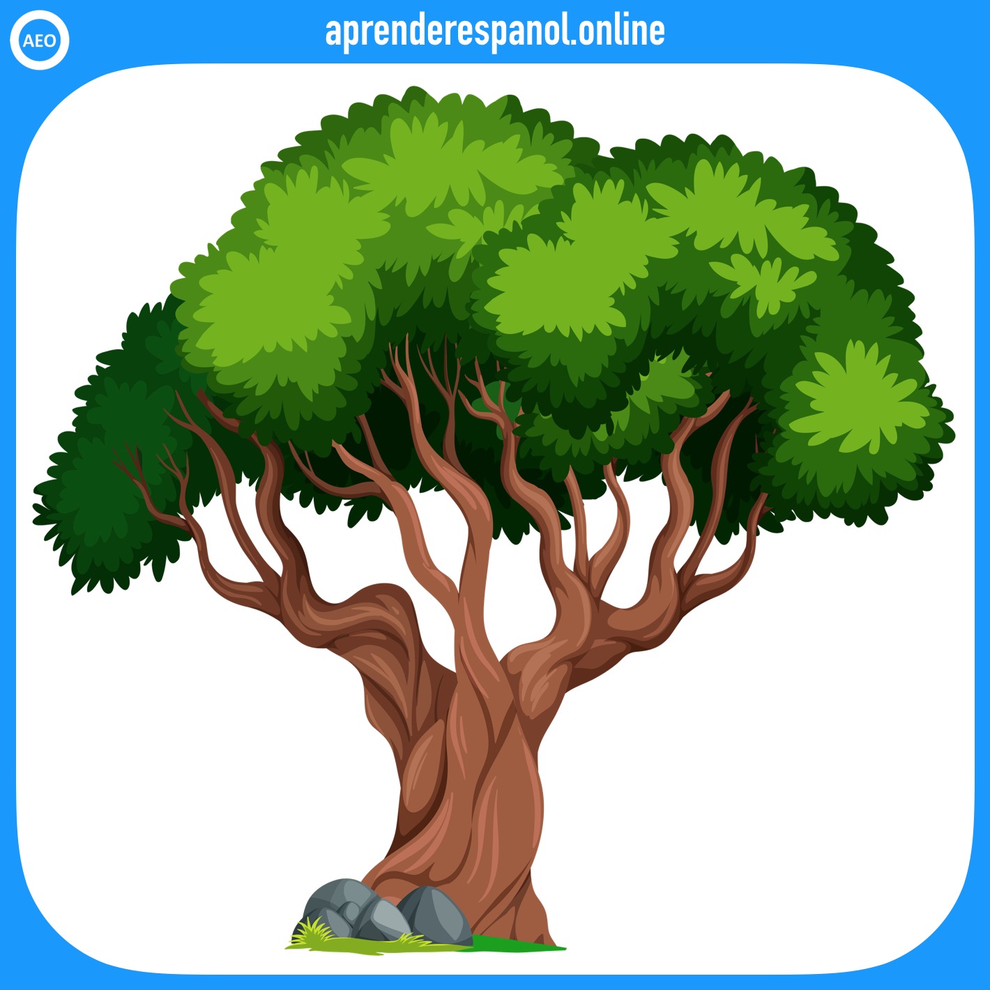 Ejemplo de colores: El árbol tiene hojas de color verde - Vocabulario de colores