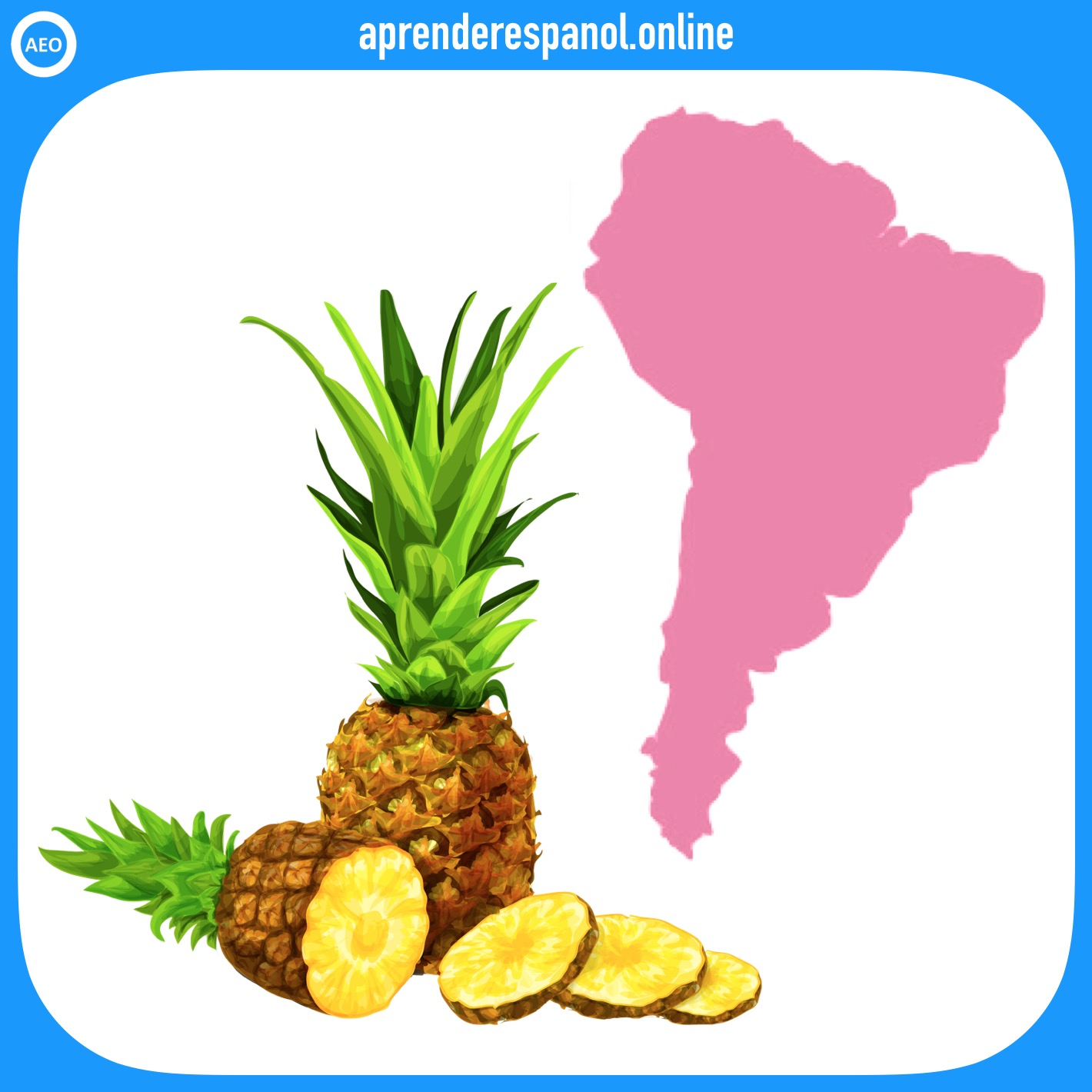 frutas: piña - frutas en español - vocabulario de las frutas en español