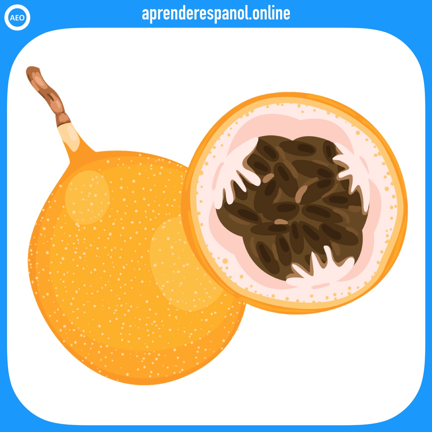 granadilla - frutas en español - vocabulario de las frutas en español