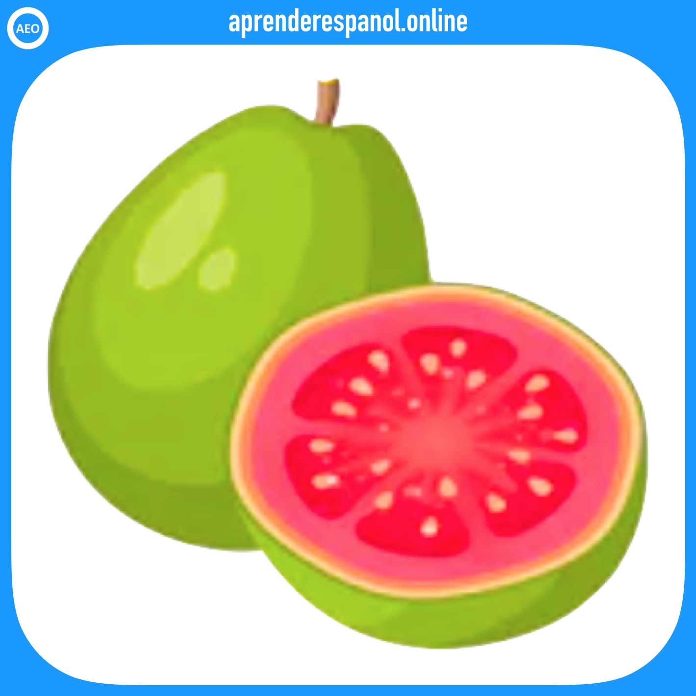 guayaba - frutas en español - vocabulario de las frutas en español