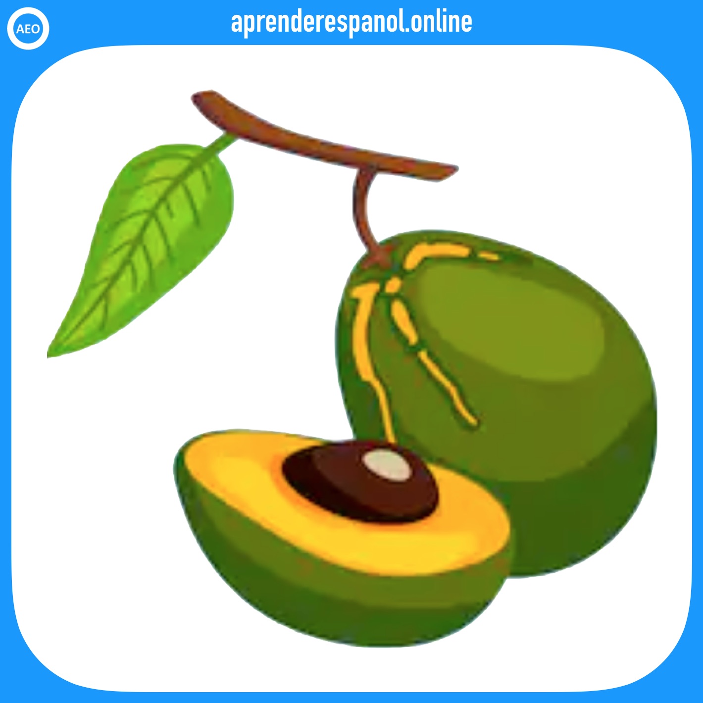lúcuma - frutas en español - vocabulario de las frutas en español
