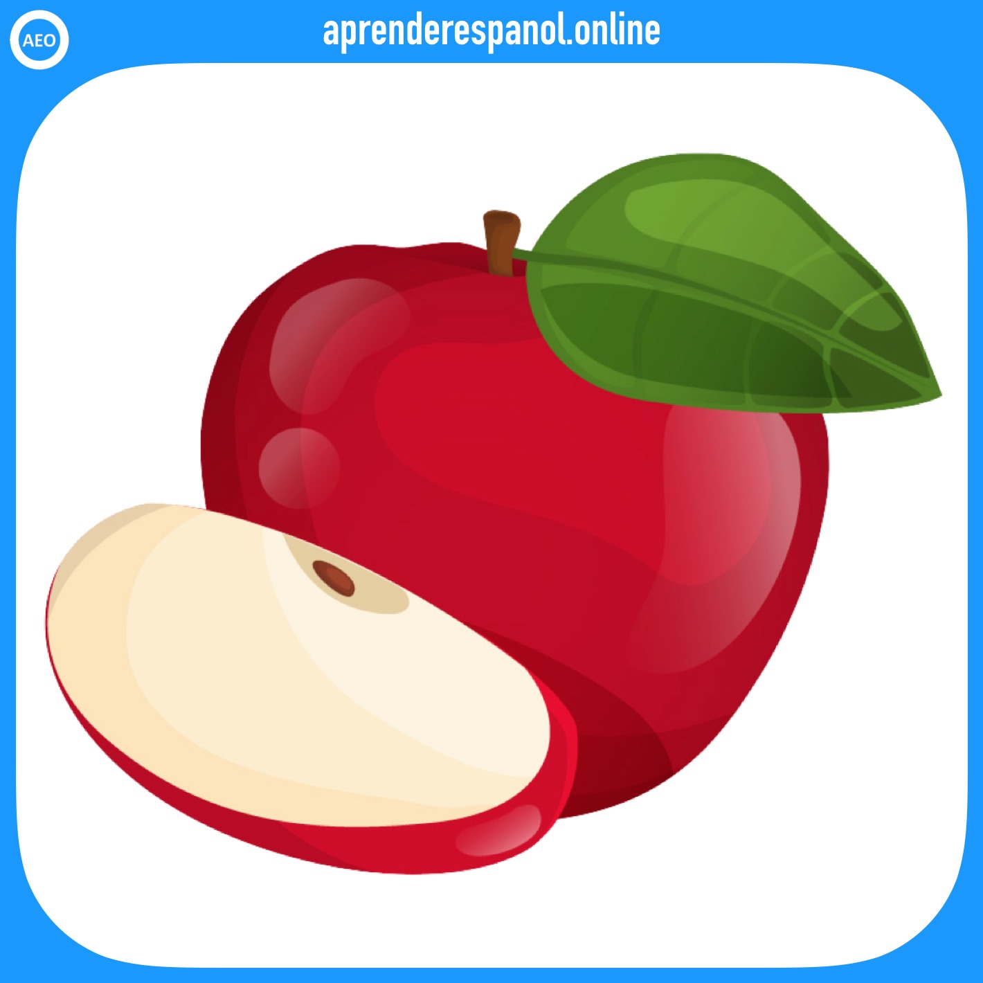manzana - frutas en español - vocabulario de las frutas en español