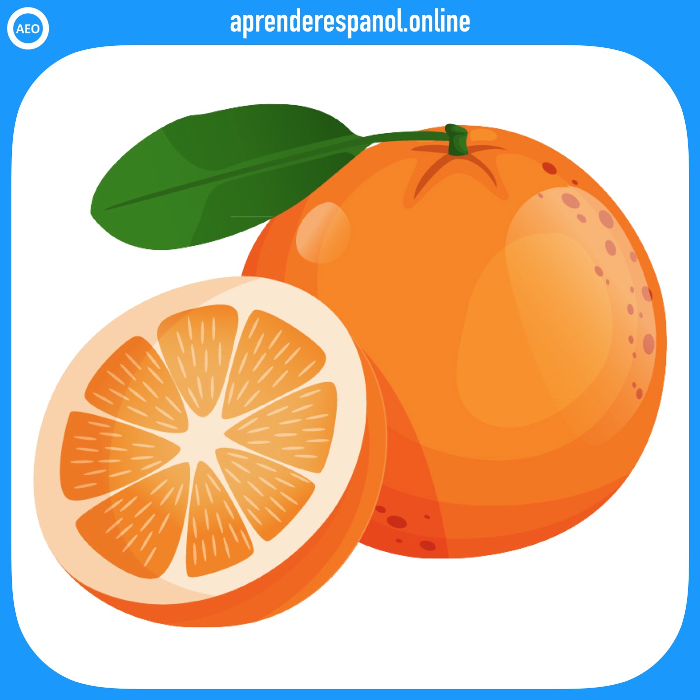 naranja - frutas en español - vocabulario de las frutas en español