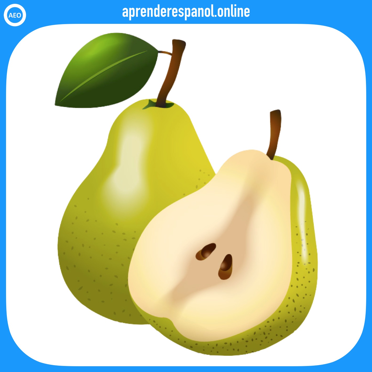 pera - frutas en español - vocabulario de las frutas en español
