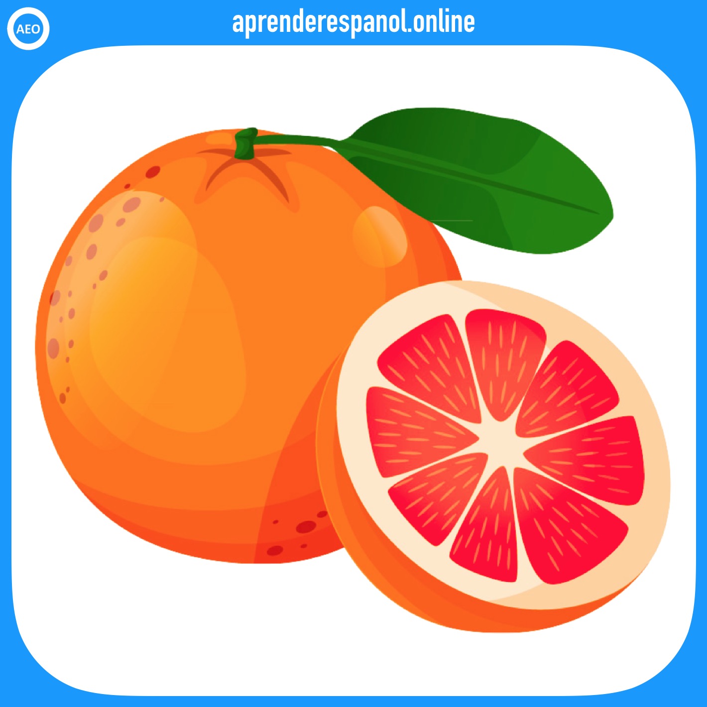 toronja - frutas en español - vocabulario de las frutas en español