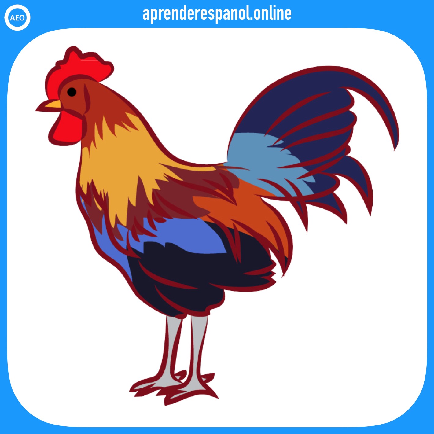 gallo | animales en español | vocabulario de los animales en español