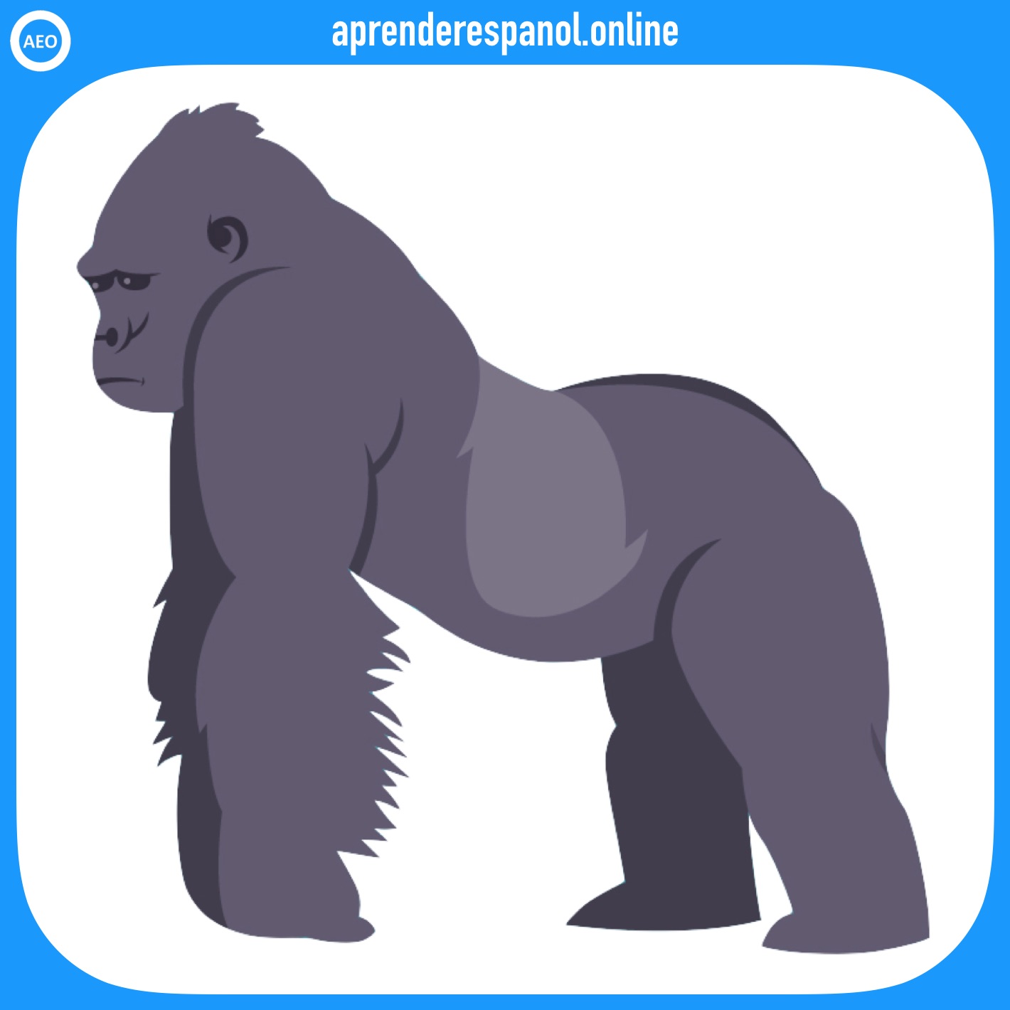 gorila | animales en español | vocabulario de los animales en español