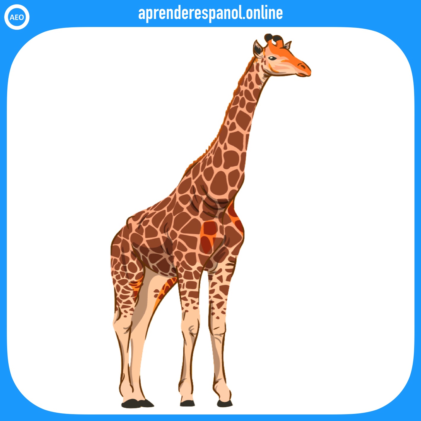 jirafa | animales en español | vocabulario de los animales en español