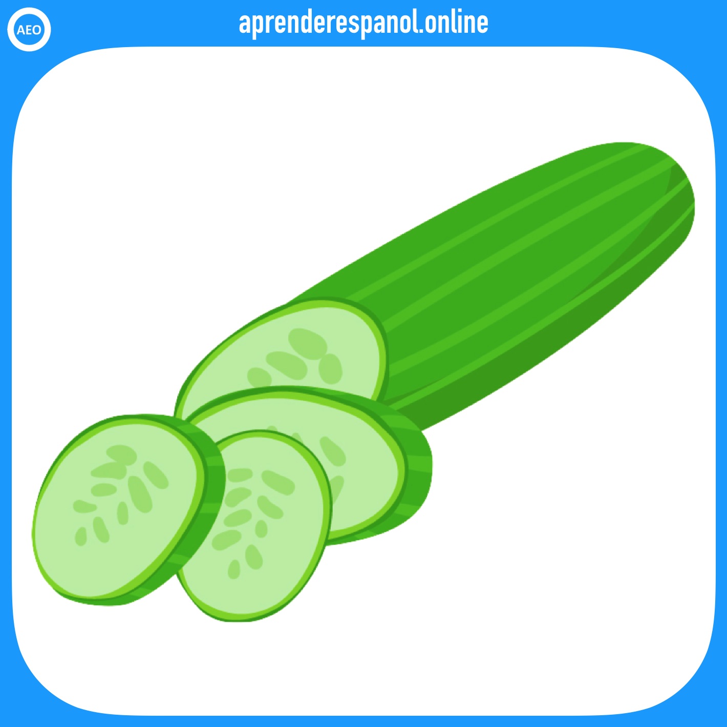pepino | verduras en español | vocabulario de las verduras en español
