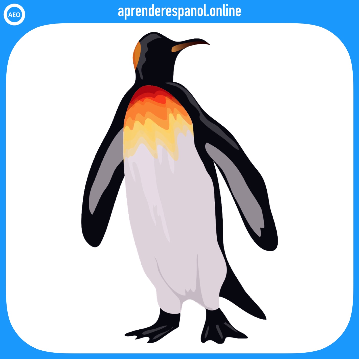 pingüino | animales en español | vocabulario de los animales en español