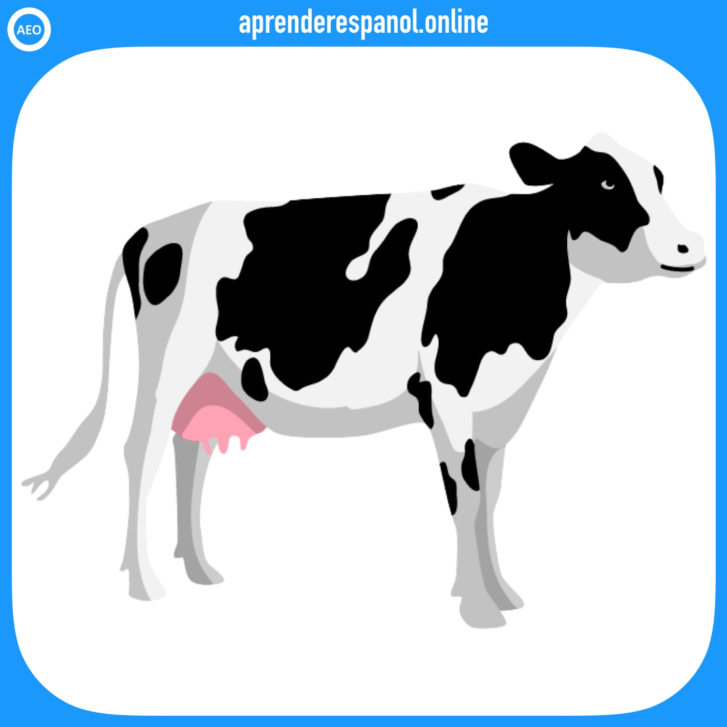 vaca | animales en español | vocabulario de los animales en español